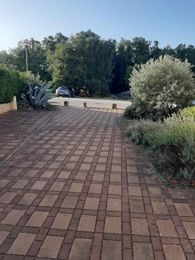 Medo Lejlighed Novigrad Istria Eksteriør billede